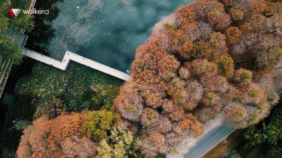 一鍵拍攝短片, 輕松玩轉